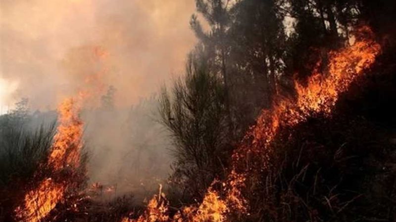 البرازيل تكشف سر