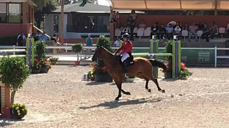 فرسان مصر يواصلون