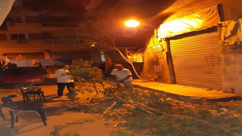 عمال نظافة القاهرة