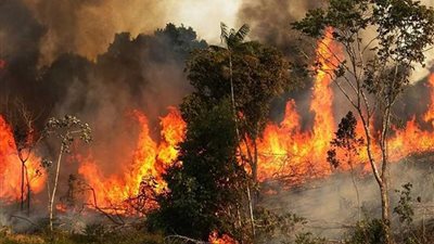 الجيش البرازيلي يدفع بطائرات حربية للسيطرة على حرائق غابات الأمازون