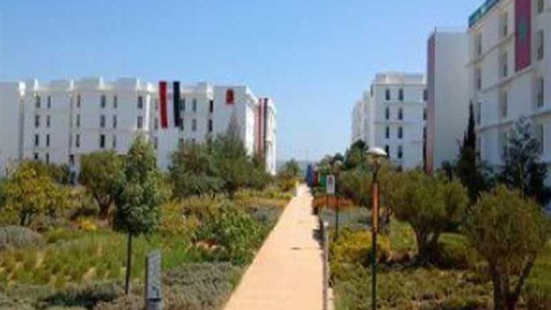 جدول منافسات اليوم