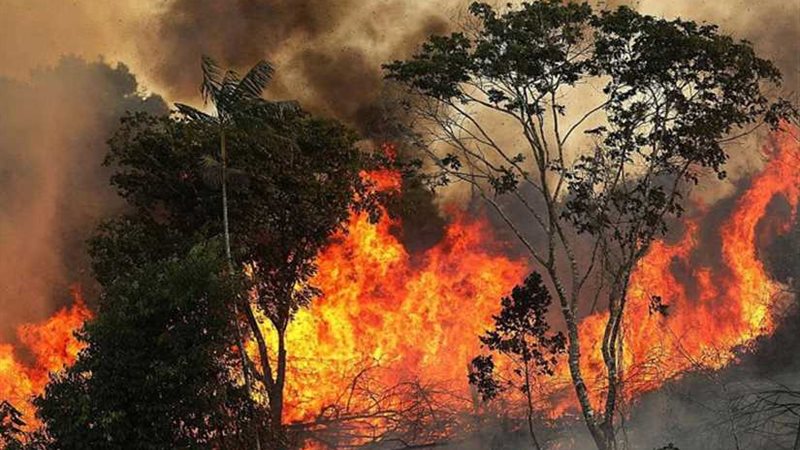 حرائق غابات الأمازون