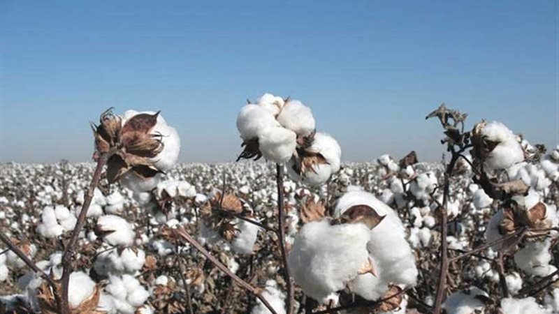 الحكومة تفوز بأول