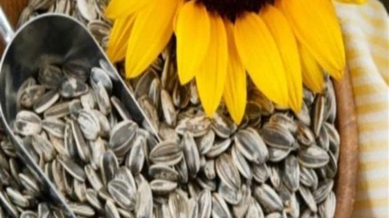 طبيب روسي ينسف معتقدا