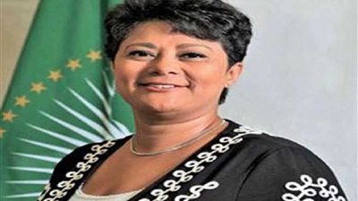 مستشار الاتحاد الأفريقى تؤكد على أهمية انعقاد قمة التيكاد برئاسة السيسى وآبى