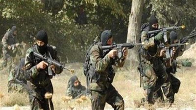 الجيش الجزائري يضبط أسلحة وذخيرة جنوبي البلاد