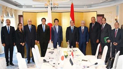 السيسي: نتطلع لخروج 