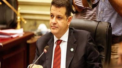 رضوان: كلمة الرئيس اليوم بالتيكاد تؤكد أنه الأب الروحى لقضايا إفريقيا