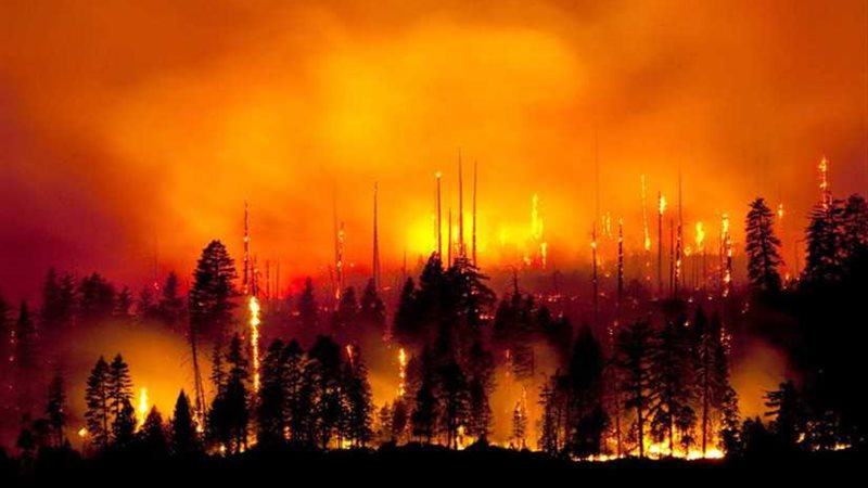 دينا مشرف ويسرا حلمي