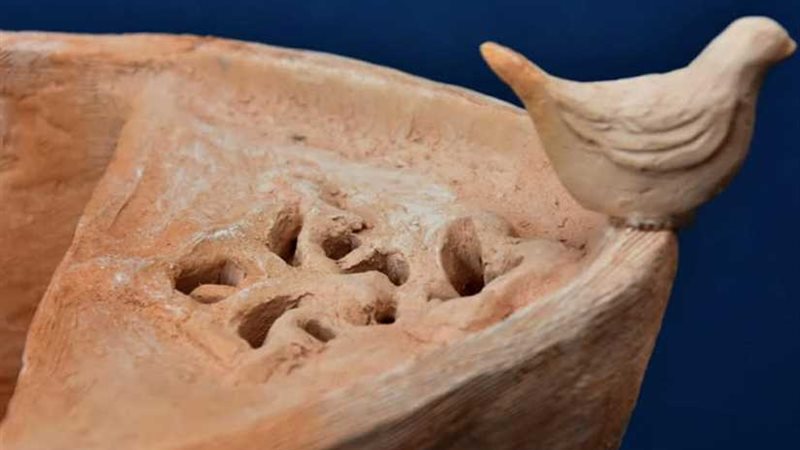 البحث عن النجاة..