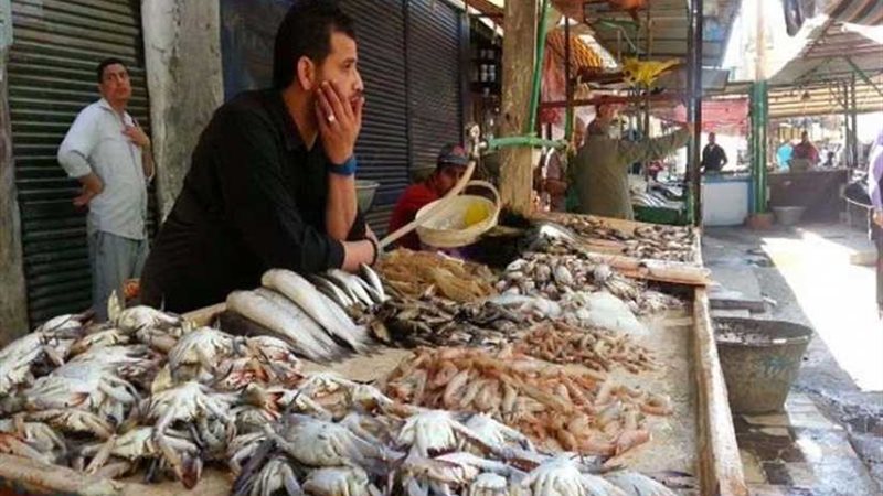 أسعار الأسماك والفاكهة