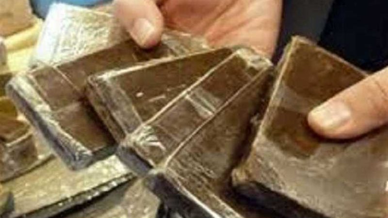 إحباط جلب مخدرات