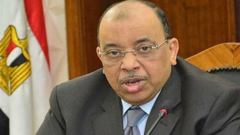 التنمية المحلية: