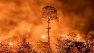 خبراء يحذرون .. حرائق الأمازون قد تدفع الأرض إلى 