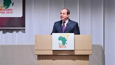 السيسي : مصر تتطلع لمواصلة التعاون مع الأمم المتحدة لمعالجة الملفات ذات الأولوية للدول النامية
