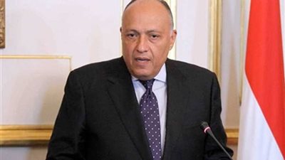 وزير الخارجية ونظيره الياباني يبحثان تعزيز العلاقات الثنائية والقضايا محل الاهتمام المُشترك