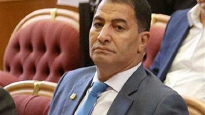 البدري ضيف يطالب الحكومة بإطلاق مشروع قومي للقضاء على الحمى القلاعية