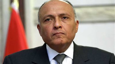 وزير الخارجية: إعلان يوكوهاما وثيقة شاملة لدور اليابان في تنمية القارة الإفريقية