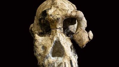 عمرها 4 ملايين سنة.. اكتشاف أقدم جمجمة لإنسان في أثيوبيا