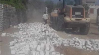 تنفيذ إزالة لـ 52 حالة تعدٍّ على أراضي أملاك دولة وأخرى تابعة للآثار بديروط