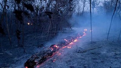 مسئولة أممية: حرائق الأمازون تبرز خطورة الأزمة التي تواجهها البشرية بأسرها