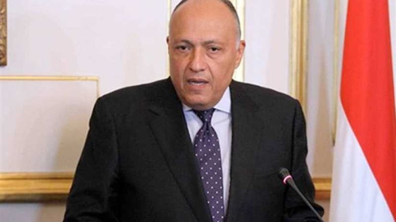 وزير الخارجية ونظيره