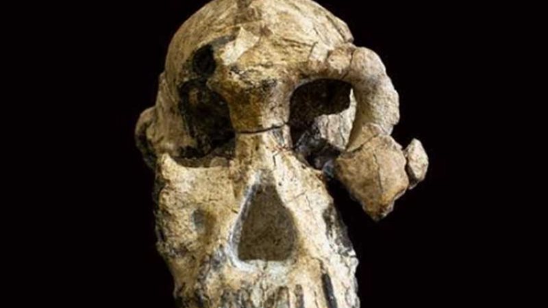 عمرها 4 ملايين سنة..