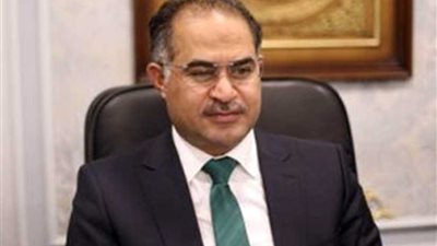 وكيل مجلس النواب: هناك توجه سياسي قوي من جانب مصر تجاه القارة الإفريقية