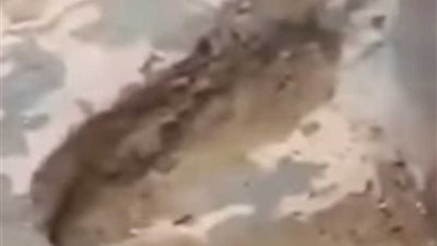 حقيقة آثار قدم 