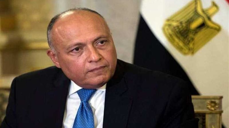 شُكري يُؤكد لـالحريري