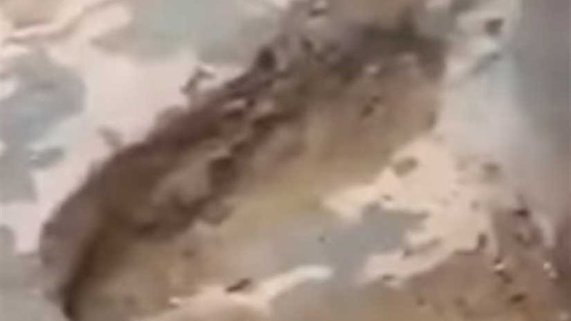 حقيقة آثار قدم رسول