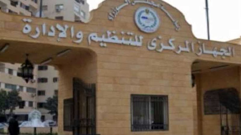 التنظيم والإدارة: