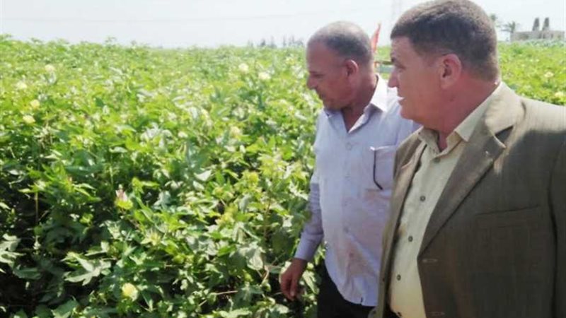 وكيل وزارة الزراعة