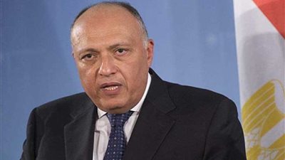 شكري ونظيره الغيني يناقشان القضايا ذات الاهتمام المشترك