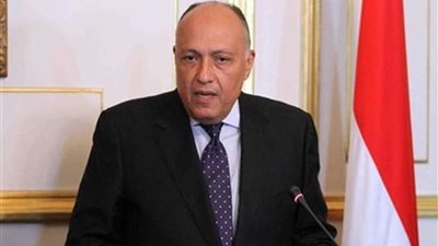 غدا .. مباحثات مصرية - غينية بالقاهرة بمناسبة انعقاد اللجنة المشتركة