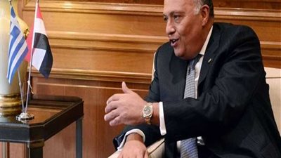 وزير الخارجية يجري غدا مباحثات مع وليد جنبلاط بالقاهرة