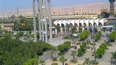 جامعة حلوان تنظم ورشة تدريبية للكوادر الإفريقية في صناعة الخشب والأثاث