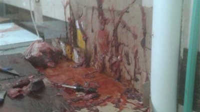 ضبط 3 أطنان كبدة فاسدة بمصنع في قليوب