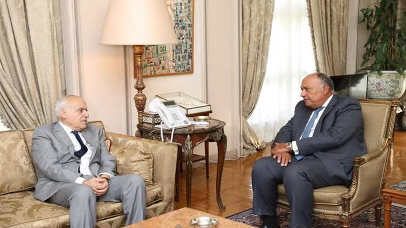 شكري يبحث مع سلامة