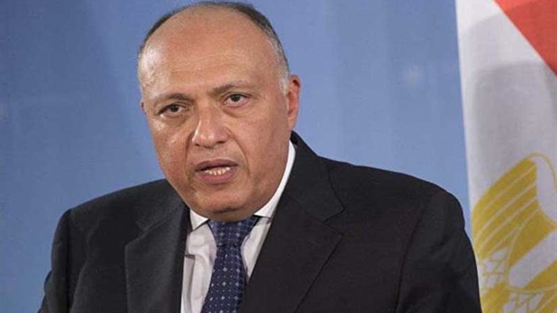 شكري ونظيره الغيني