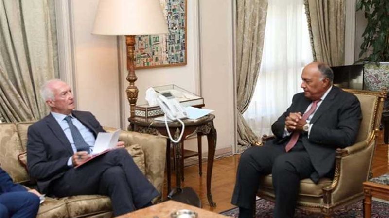 وزير الخارجية يؤكد