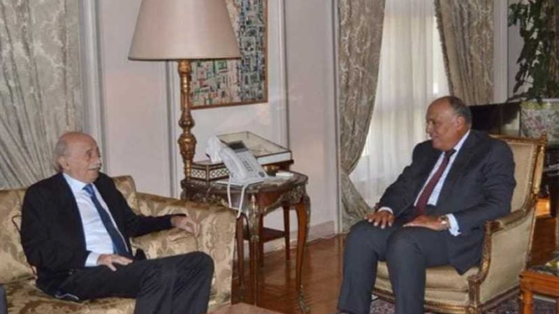 شكري: مصر حريصة على