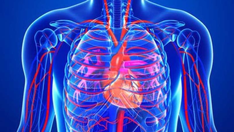 عوامل تدمر الأوعية