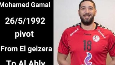 رسميًا.. الإسماعيلي يتعاقد مع لاعب يد الأهلي