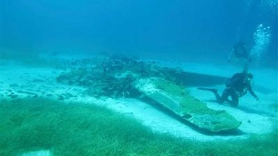 أعطني عمرا وألقِني في البحر.. تفاصيل معركة بين طيار وأسماك القرش.. (صور)