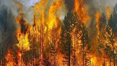 سفير البرازيل بالكويت : إخماد حرائق الامازون بشكل تام بحلول أكتوبر المقبل