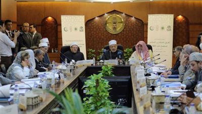 الفريق الاستشاري الإسلامي يشكر مصر والأزهر للالتزام الاستثنائي في دعم استئصال شلل الأطفال