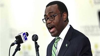 رئيس البنك الإفريقي للتنمية: يتعين على دول القارة التصدي للبطالة واستثمار طاقات الشباب