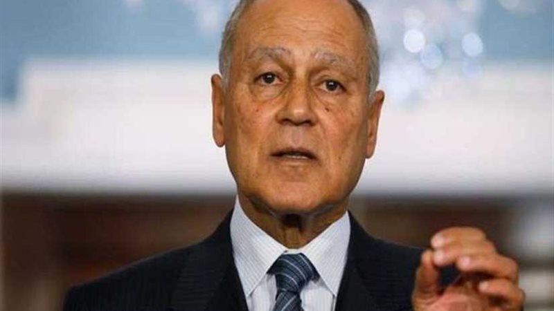 أبو الغيط يبحث ومدير