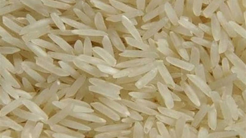 الأرز الصيني يغزو